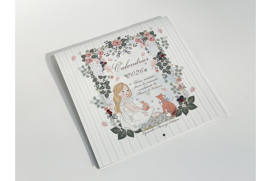 Calendrier illustré Vue 1