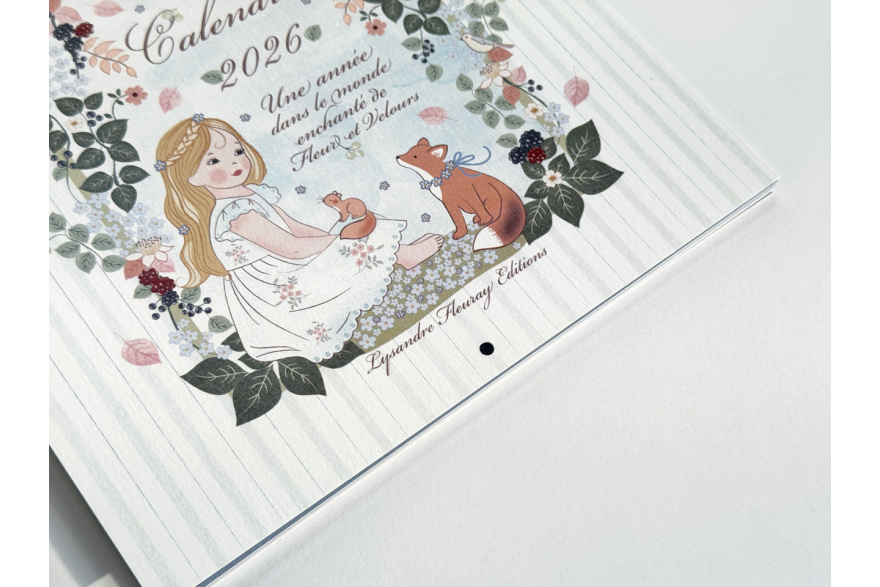 Calendrier illustré Vue 4